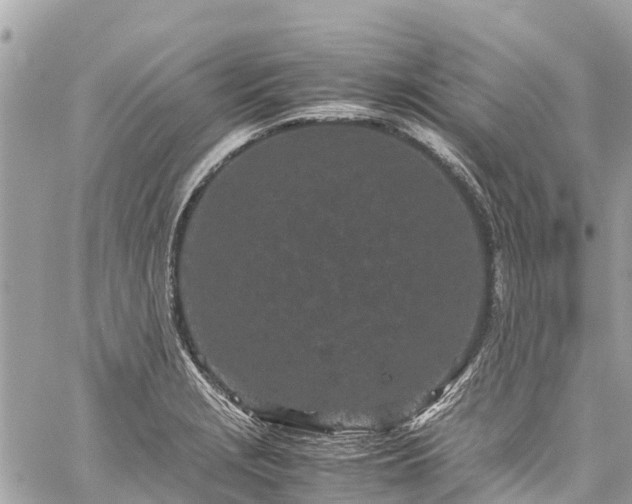 X0000059831229200510241413