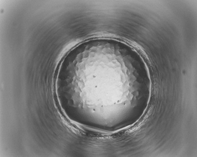 X0000059831231200510241413