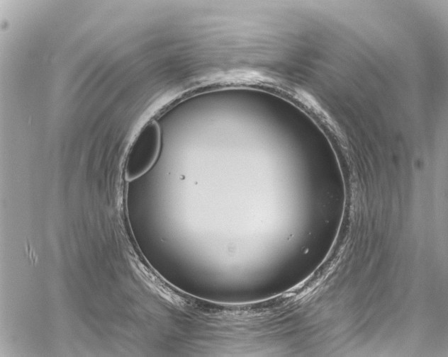 X0000059831232200510241413