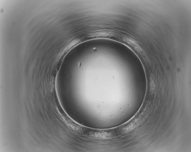 X0000059831233200510241413