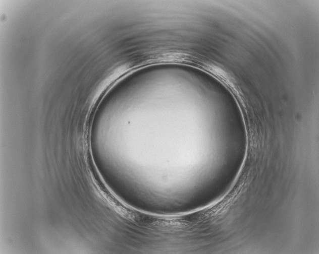 X0000059831235200510241413