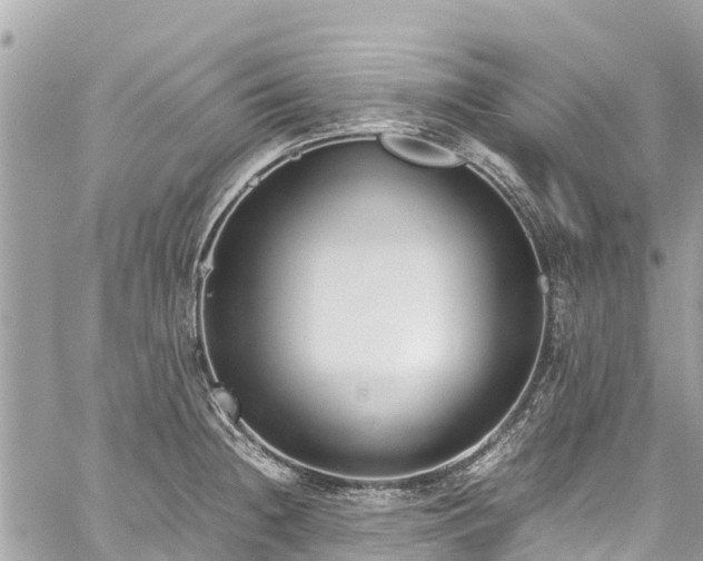 X0000059831236200510241413