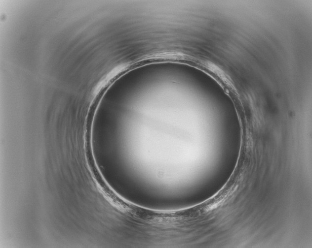 X0000059831237200510241413