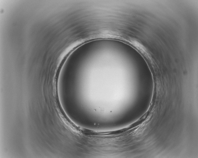 X0000059831238200510241413