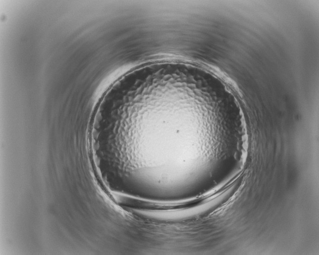 X0000059831239200510241413