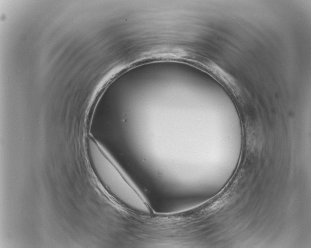 X0000059831240200510241413