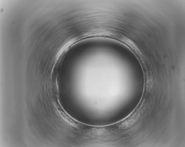 X0000059831242200510241413