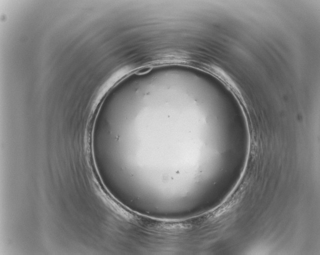 X0000059831243200510241413