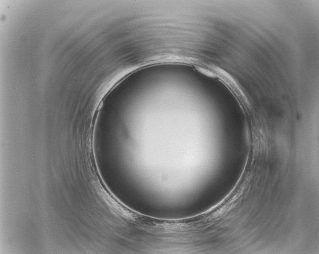 X0000059831244200510241413