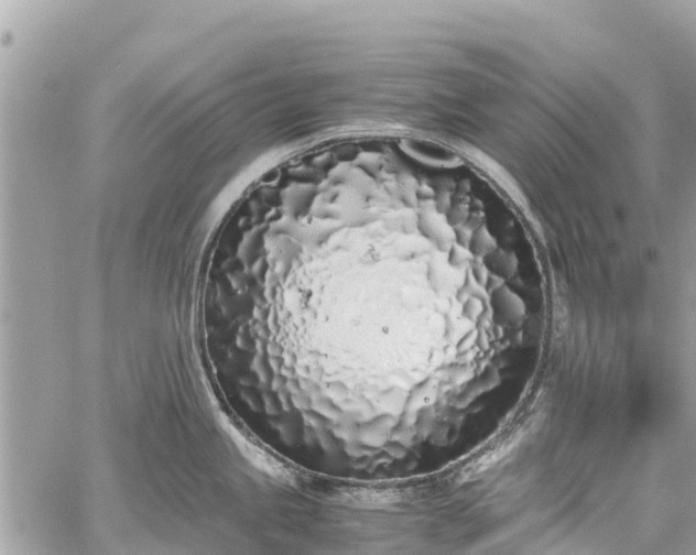 X0000059831245200510241413