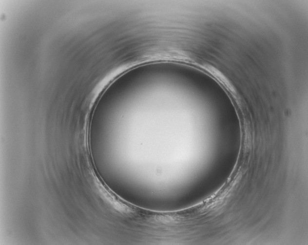 X0000059831246200510241413