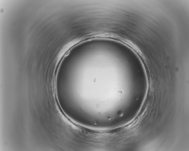 X0000059831247200510241413