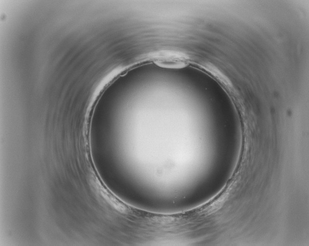 X0000059831248200510241413