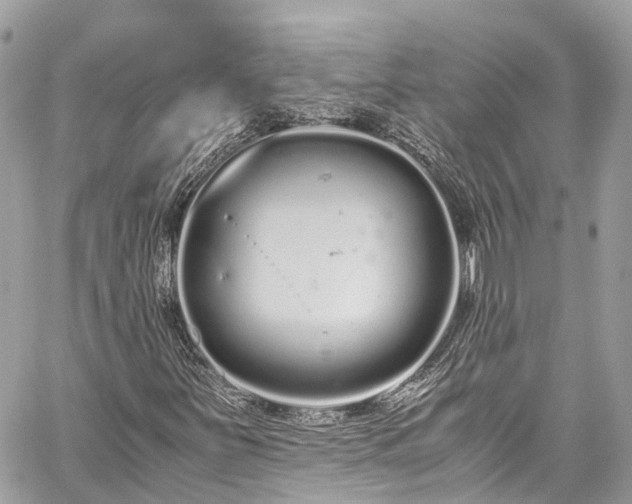 X0000059831251200510241412