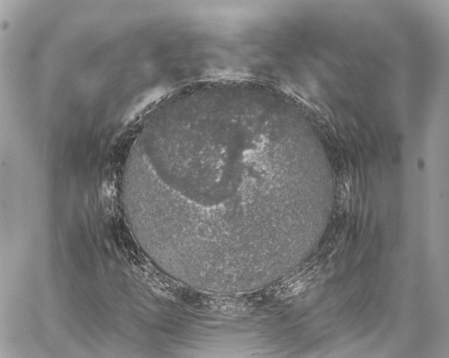 X0000059831254200510241412