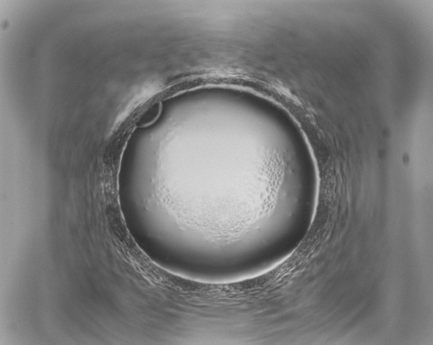 X0000059831255200510241412