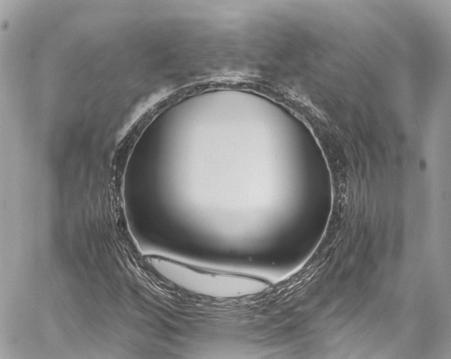 X0000059831256200510241412