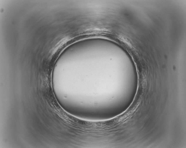 X0000059831259200510241412