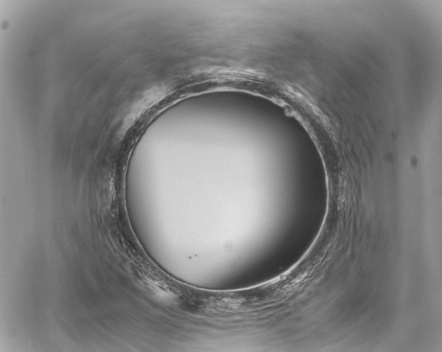 X0000059831261200510241412