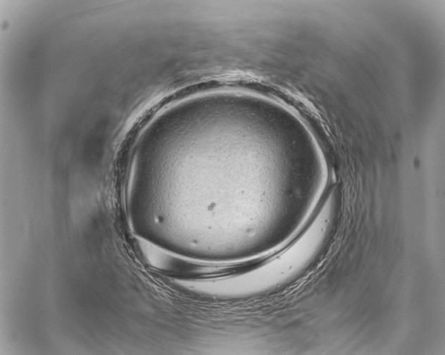 X0000059831263200510241412