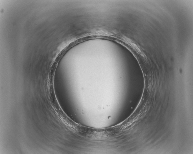 X0000059831264200510241412