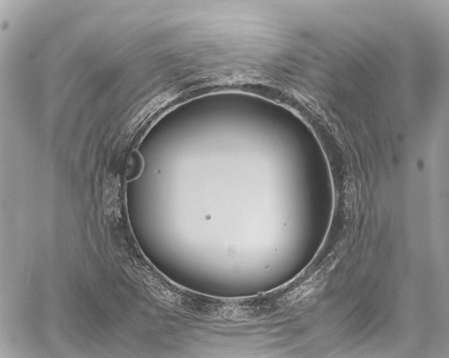 X0000059831265200510241412