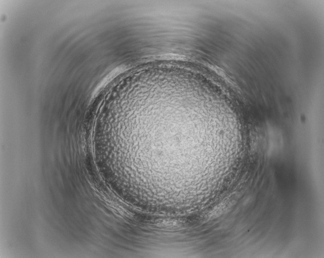 X0000059831266200510241412