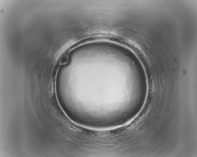 X0000059831267200510241412