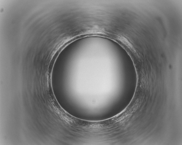 X0000059831268200510241412