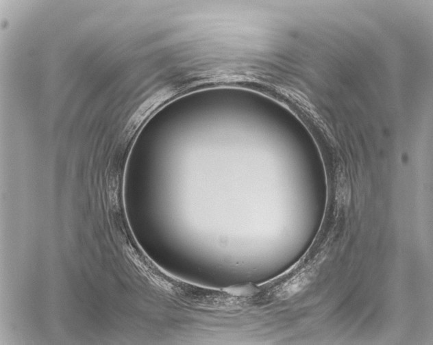 X0000059831273200510241412