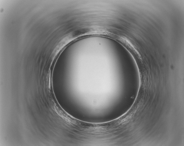 X0000059831276200510241412