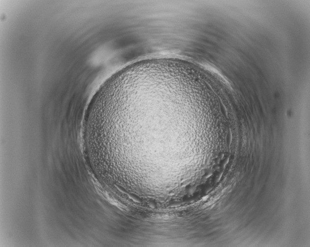 X0000059831278200510241412