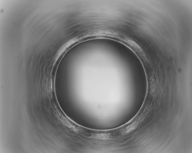 X0000059831280200510241412