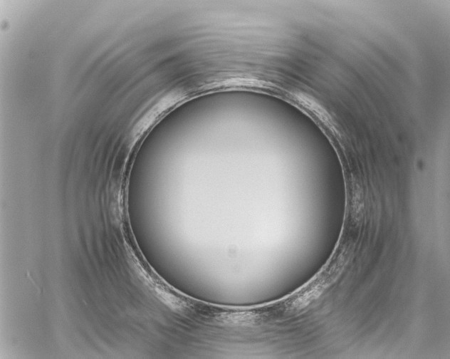 X0000059831282200510241411