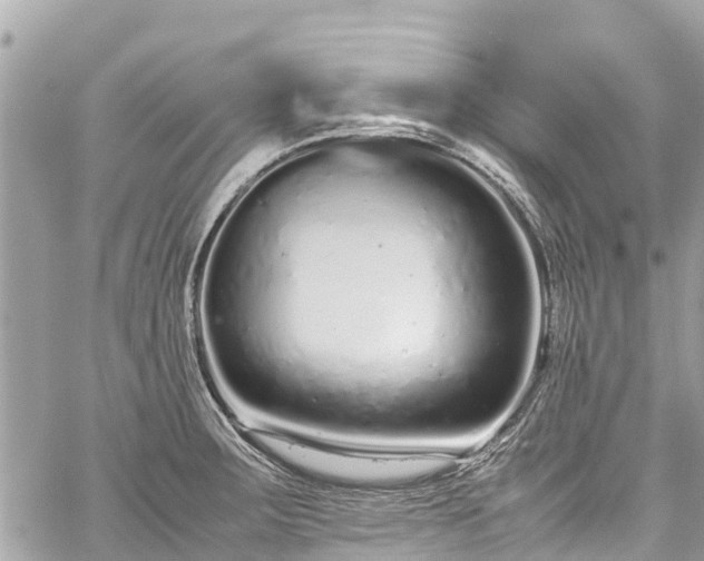 X0000059831283200510241411