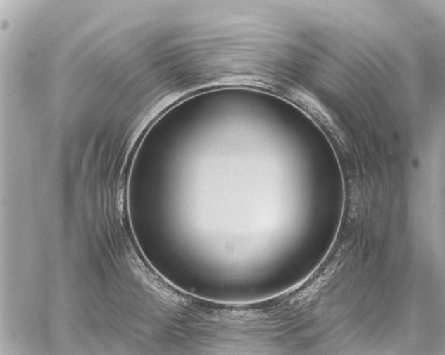 X0000059831284200510241411