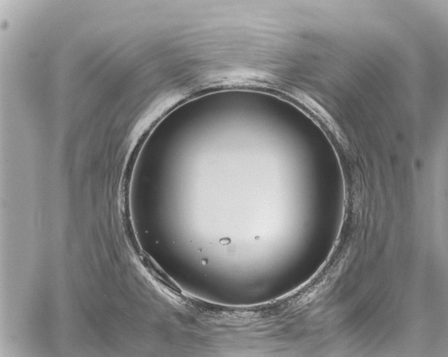 X0000059831285200510241411