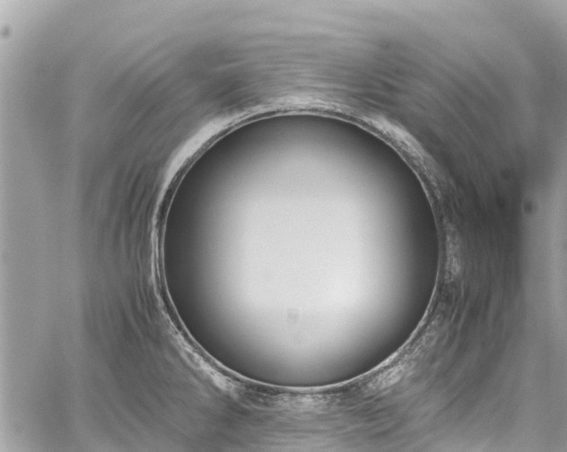 X0000059831286200510241411