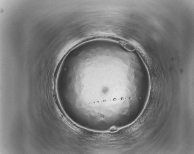 X0000059831287200510241411