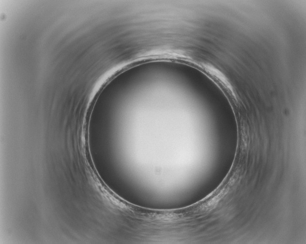 X0000059831288200510241411