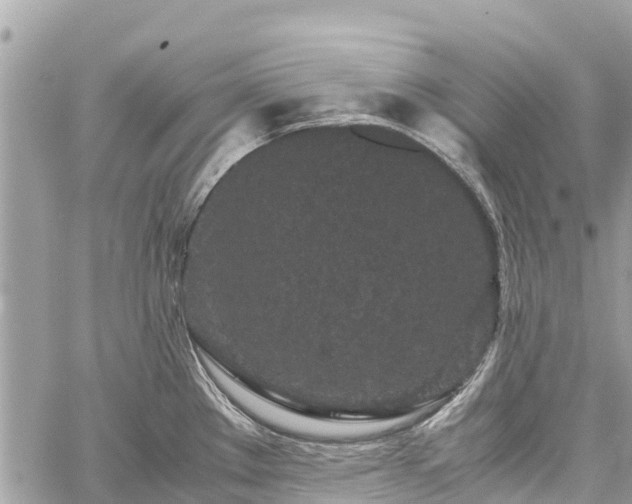 X0000059831289200510241411