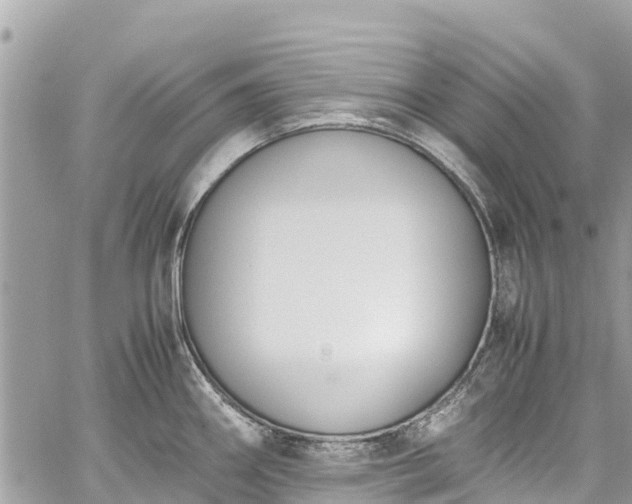 X0000059831290200510241411