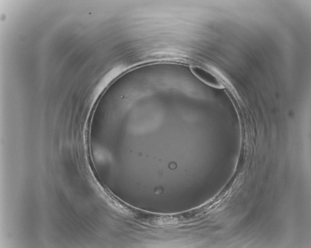 X0000059831291200510241411