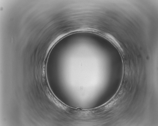 X0000059831292200510241411