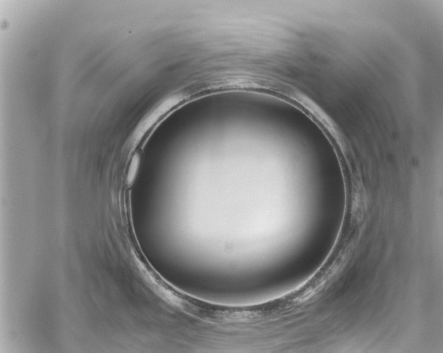 X0000059831293200510241411