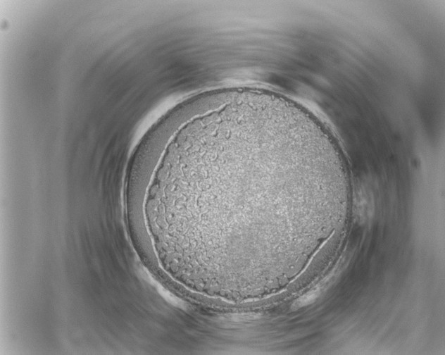 X0000059831294200510241411