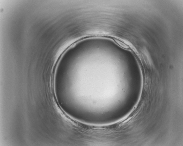 X0000059831295200510241411