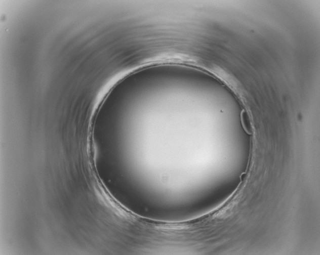 X0000059831296200510241411