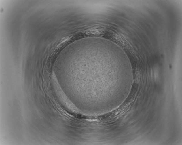 X0000059831297200510241410