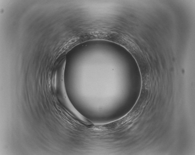 X0000059831298200510241410